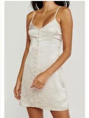 Abercrombie & Fitch Cream/ Beige Zebra Print Mini Slip Dress